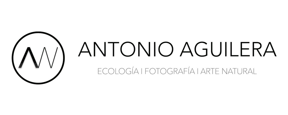 Antonio Aguilera - Wildlife Photography 