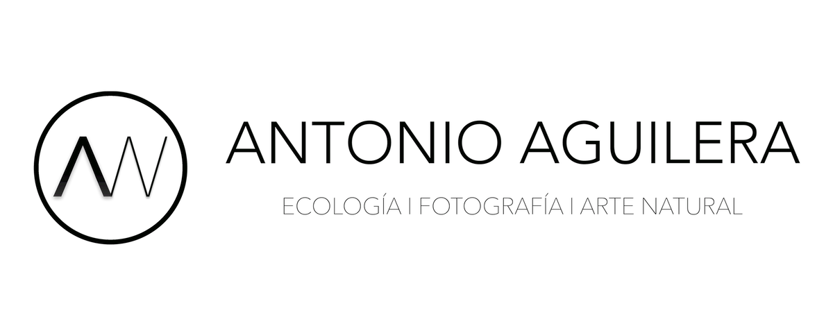 Antonio Aguilera - Arte Natural - Fotografía de Naturaleza y Vida Salvaje