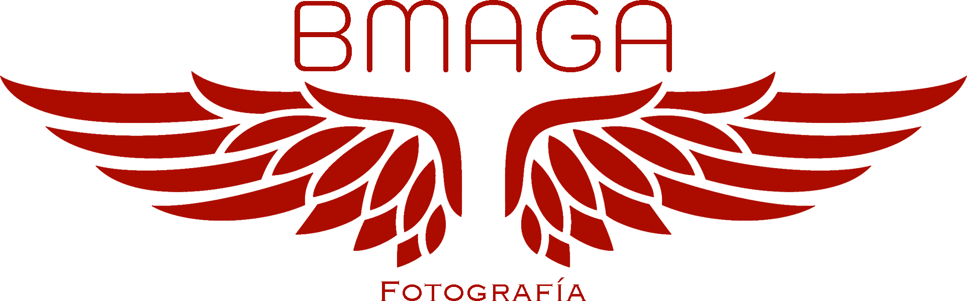 BMAGA Visual. - 