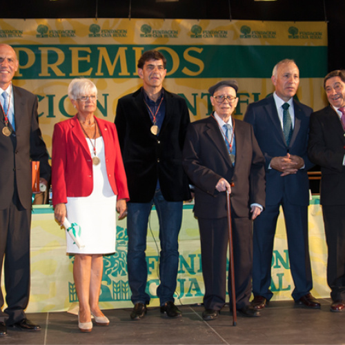 Premiados 2013