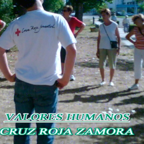 Valores Humanos 2013