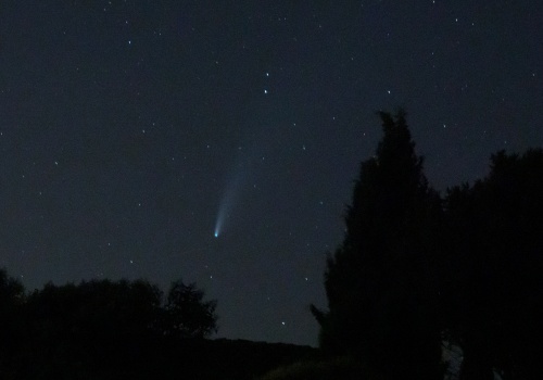 Cometa Neowise