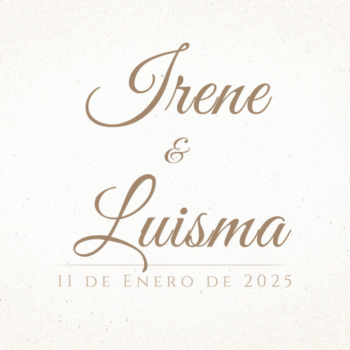 Irene & Luisma - Micro Resumen Boda