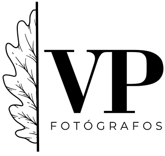 Fotógrafo de Bodas  - Victor Pintor